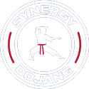 Synergy Dojang Logo